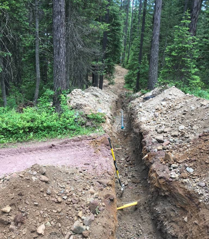 A dirt road in the middle of a forest with a shovel in the dirt.