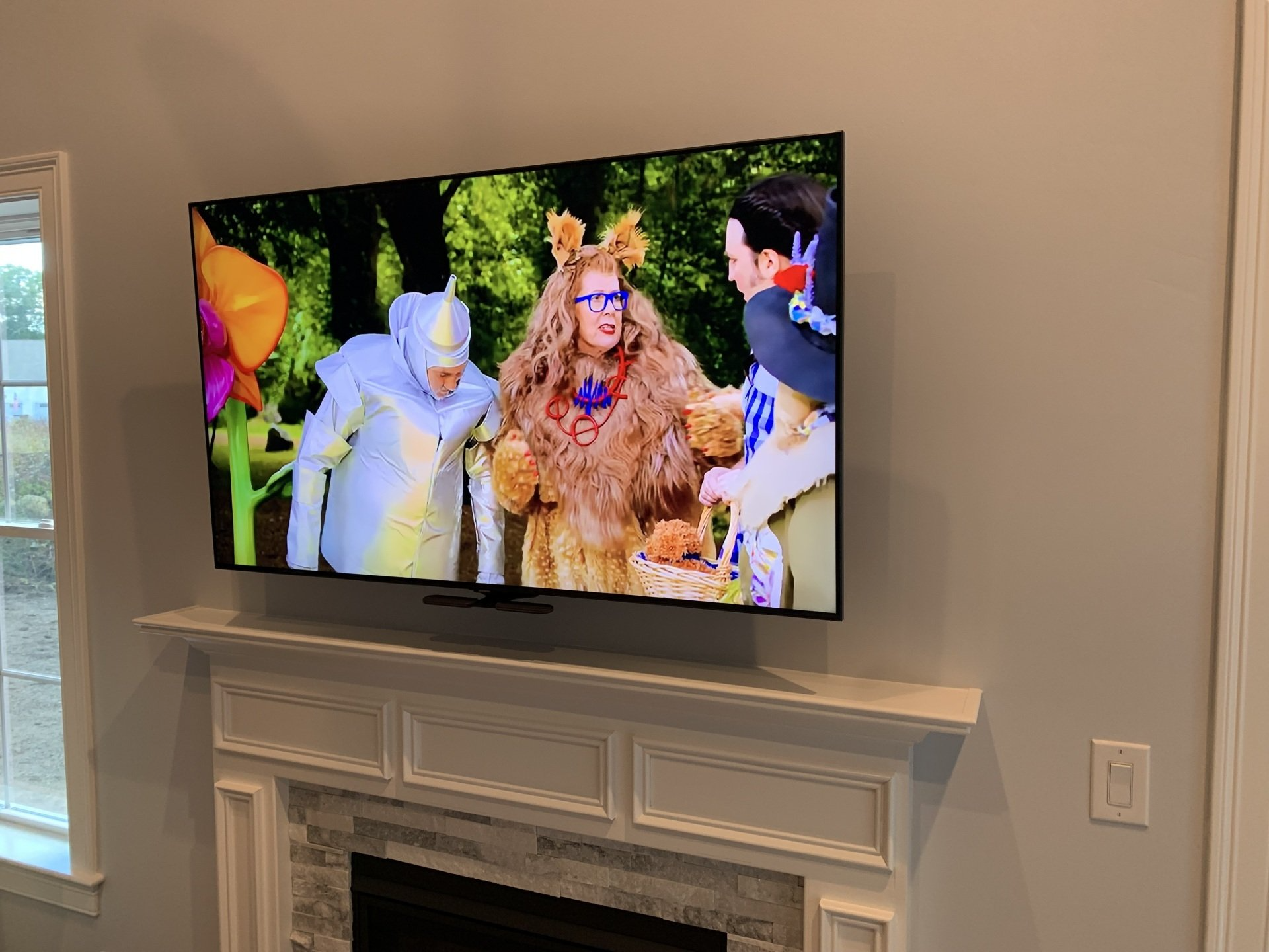 TV Installation Service