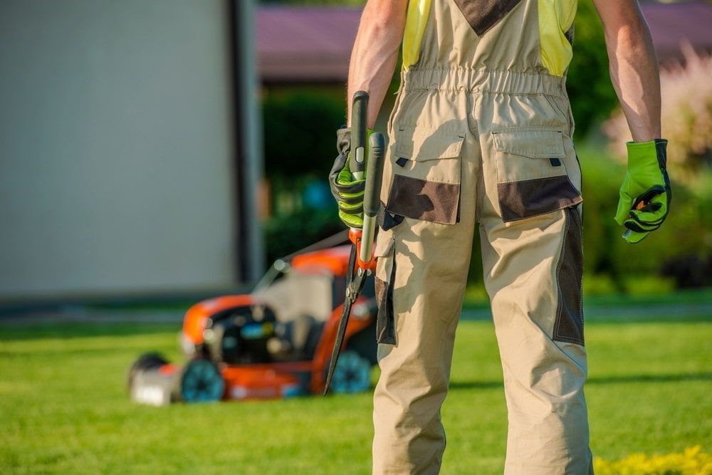 A Man is Standing in Front of a Lawn Mower — ZBM Constructions in Alstonville, NSW