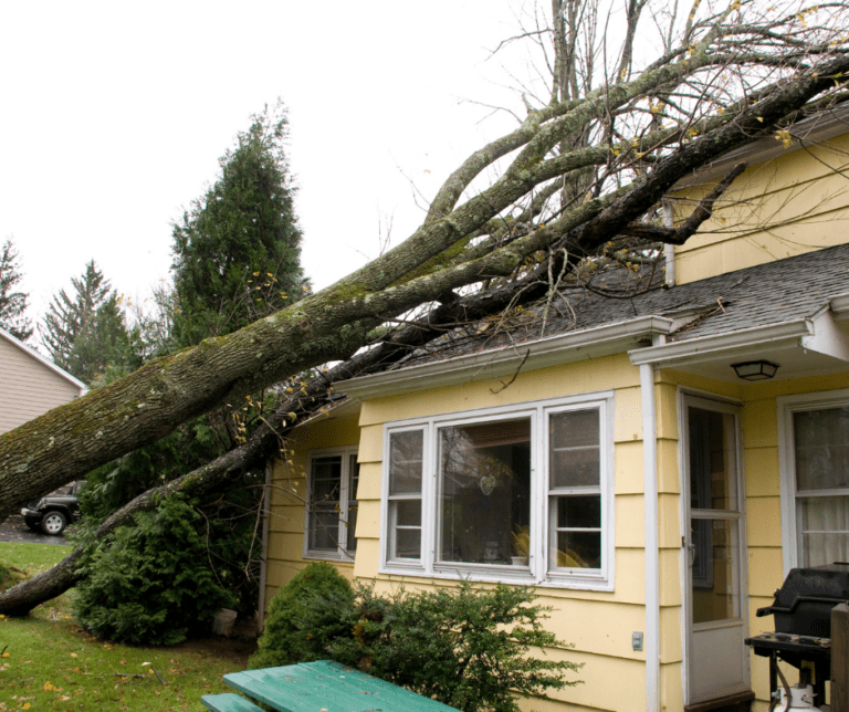 Hurricane Damage Claim