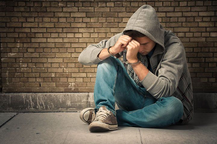 tampa bay theft lawyers