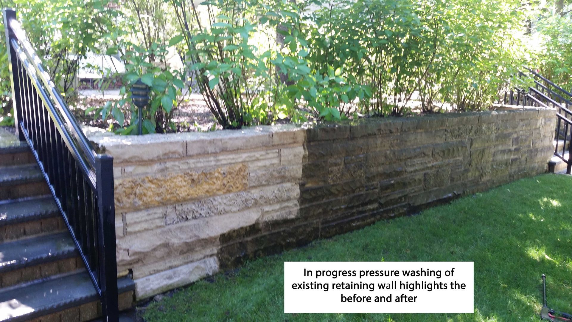 Retaining wall partially cleaned with plants on top; before and after comparison.