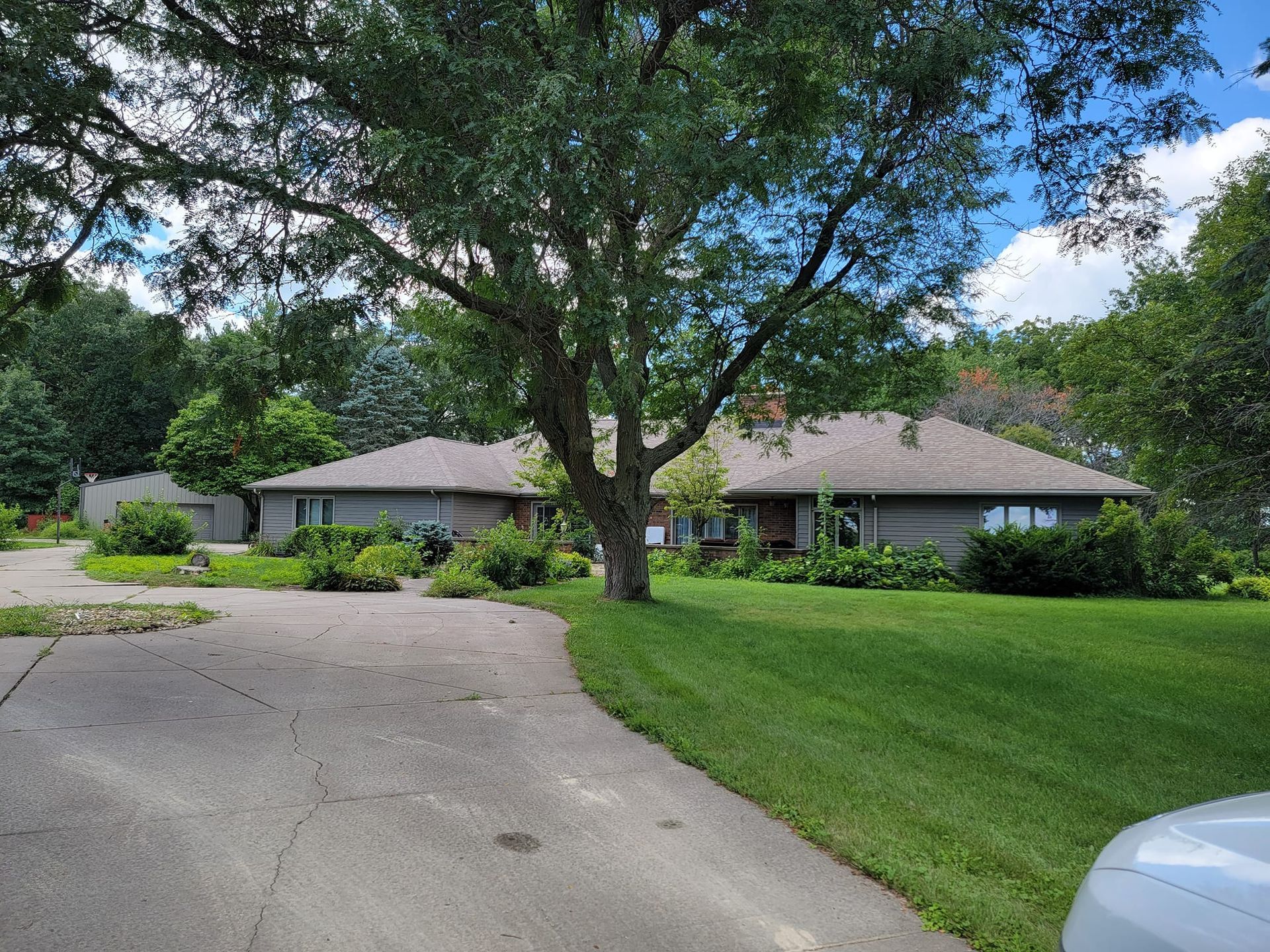 A house with a driveway and a tree in front of it.