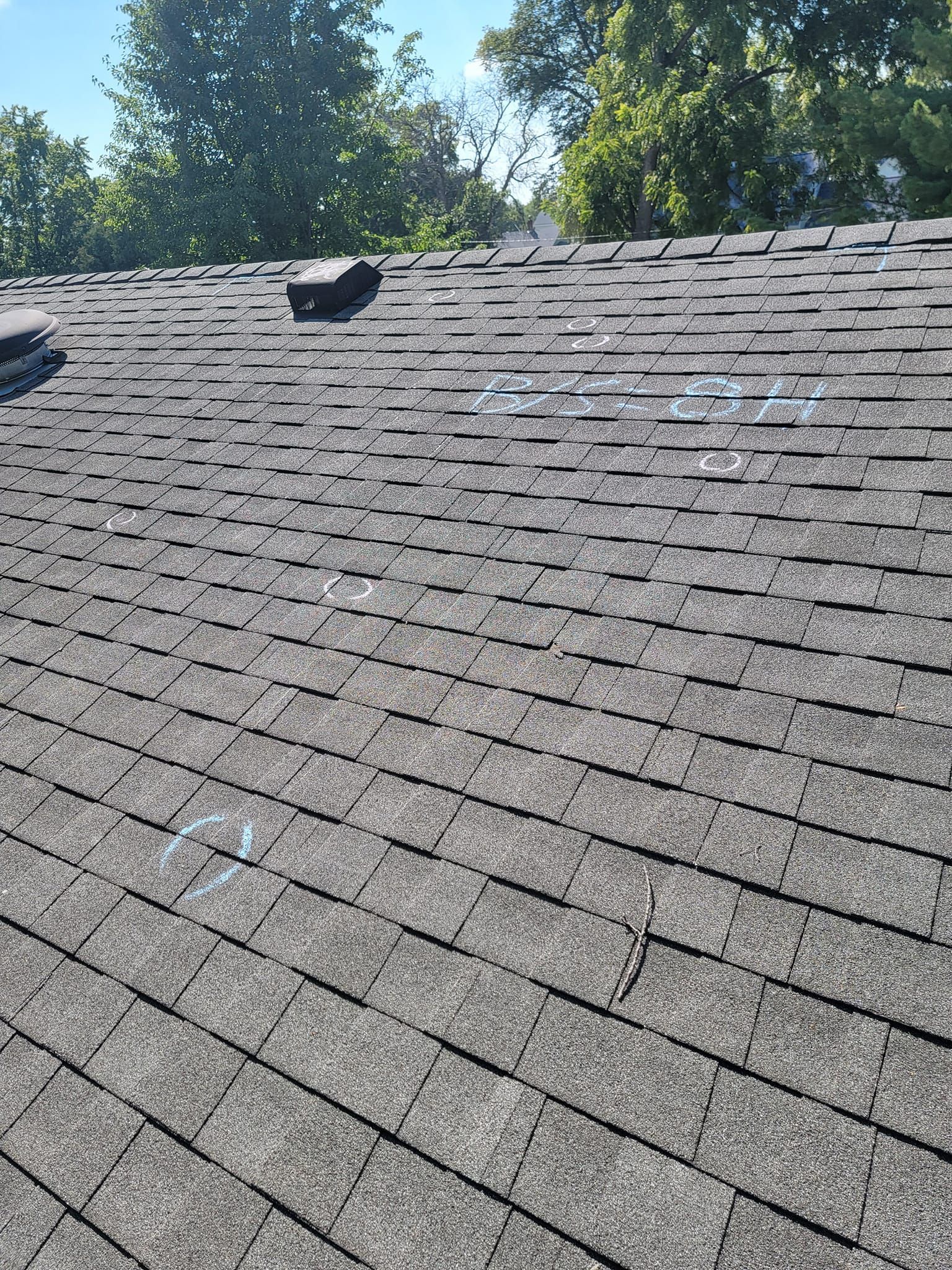 A close up of a roof with a bird on it.
