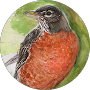 A close up of a bird in a green circle.