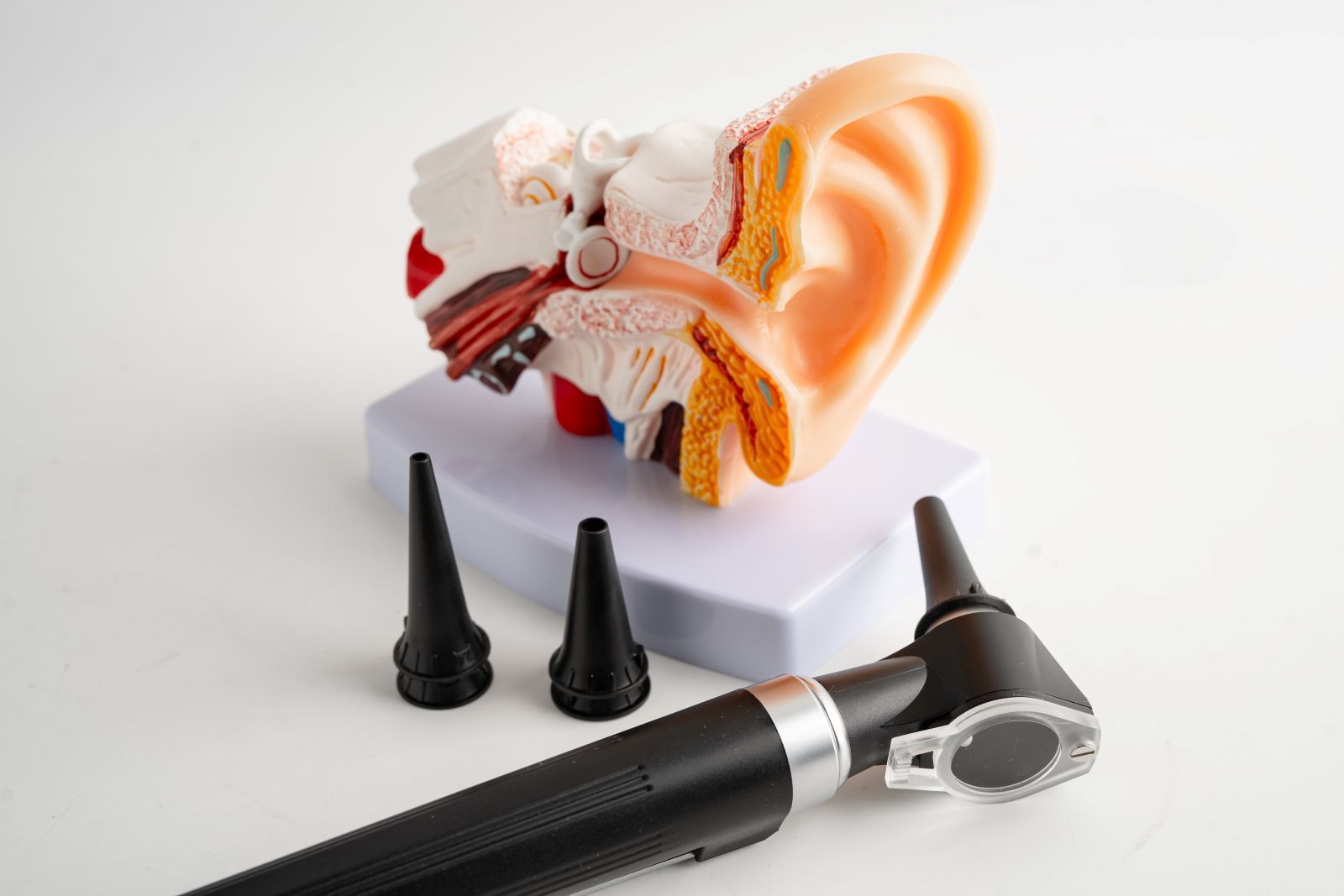A model of the human ear with an otoscope and two interchangeable specula tips on a white surface.