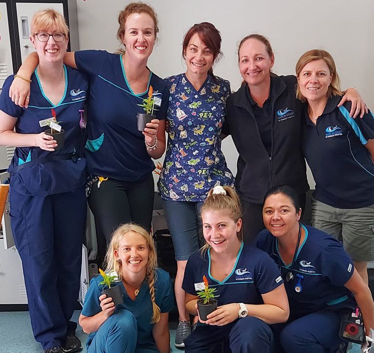 Group of Female Worker — Vet in Trinity Beach