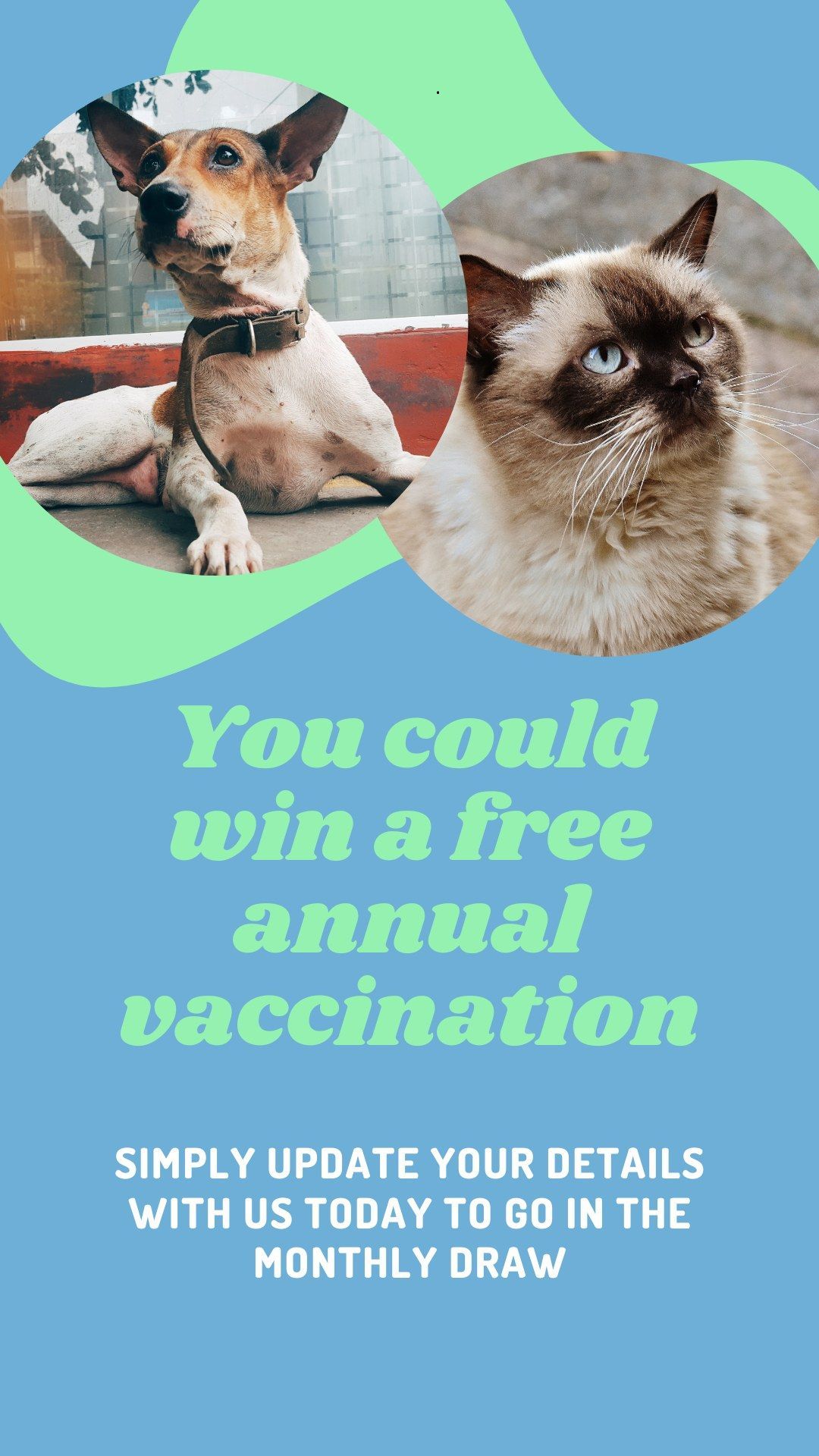 Free Annual Vaccination — Marlin Coast Veterinary Hospital in Trinity Beach, QLD