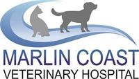 Marlin Coast Veterinary Hospital Vet in Trinity Beach