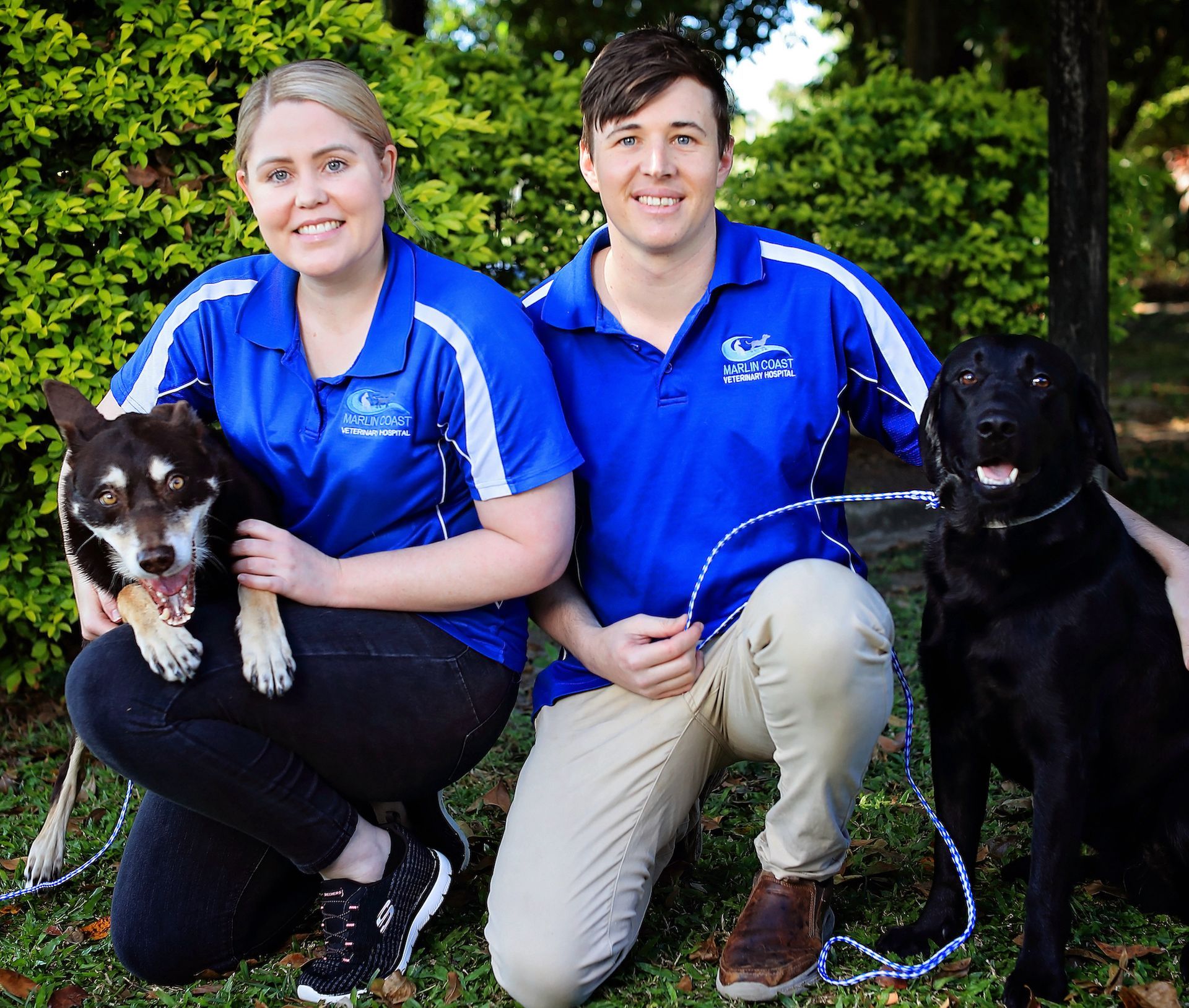 Steve & Ash With dogs— Vet in Trinity Beach