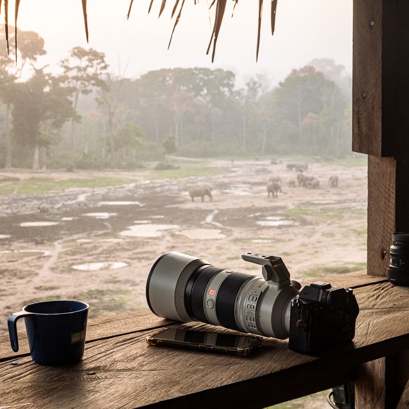 This image captures an unforgettable moment in Sangha, Central African Republic, where visitors observe gorillas from a discreet forest refuge overlooking an open clearing. Here in the Dzanga-Sangha Reserve, guests can quietly watch gorilla families as they feed, play, and interact in their natural environment—perfect for photography and immersive wildlife experiences. The unique setup allows for respectful, low-impact encounters with these remarkable primates. Inspiration Africa organizes expertly guided gorilla trekking adventures to this remote region, combining conservation, culture, and comfort for travelers seeking rare wildlife moments deep in the heart of Central Africa’s pristine rainforest.