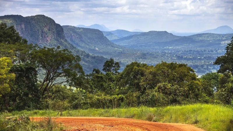 Benin’s lush highlands offer a striking view for hikers—pictured here, a dirt trail winds from a hilltop into a green valley, framed by rising mountains and dense vegetation. The Atakora Mountains, near Natitingou and Boukoumbé, are ideal for scenic hikes and cultural encounters. With forested paths, panoramic vistas, and traditional villages along the way, Benin is an emerging destination for walkers seeking nature and authenticity. At Inspiration Africa, we craft tailor-made journeys that include guided treks and immersive local experiences. Discover Benin’s trails and stories with a custom itinerary designed just for you.