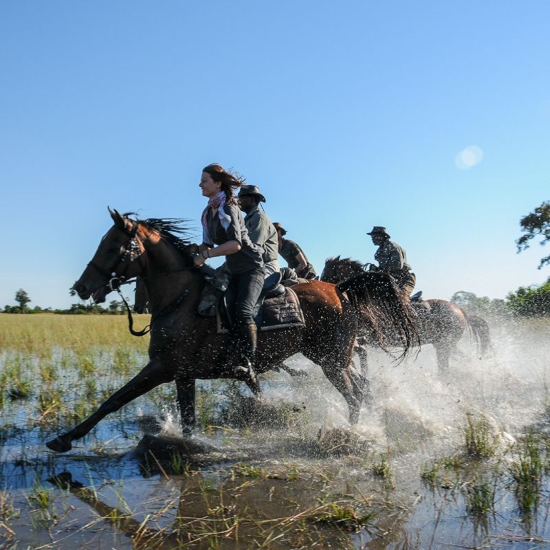 
Gaze upon an exhilarating safari moment as a group of riders gallop on horseback through the swamps of Botswana’s Okavango Delta. This dynamic photograph captures the harmony between people, horses, and the Delta’s lush waterways, with reeds, reflections, and open floodplains stretching into the distance. Horse riding offers a unique and immersive way to explore this UNESCO World Heritage Site, allowing travelers to experience wildlife and landscapes at eye level. Inspiration Africa specializes in designing bespoke, tailor-made journeys that deliver extraordinary adventure experiences in Africa’s most iconic wilderness destinations.
