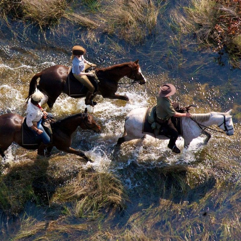 Gaze upon an exhilarating safari moment as a group of riders gallop on horseback through the swamps of Botswana’s Okavango Delta. This dynamic photograph captures the harmony between people, horses, and the Delta’s lush waterways, with reeds, reflections, and open floodplains stretching into the distance. Horse riding offers a unique and immersive way to explore this UNESCO World Heritage Site, allowing travelers to experience wildlife and landscapes at eye level. Inspiration Africa specializes in designing bespoke, tailor-made journeys that deliver extraordinary adventure experiences in Africa’s most iconic wilderness destinations.
