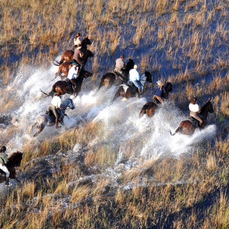 Horseback safari through the wetlands of the Okavango Delta, where riders gallop across open floodplains surrounded by wildlife and breathtaking landscapes. Horseback adventures across Africa offer a unique and exhilarating way to explore the wilderness, bringing travelers closer to nature while moving quietly through the environment. Inspiration Africa specializes in bespoke, tailor-made journeys across the continent, crafting unforgettable horseback safaris and riding experiences in Africa’s most spectacular destinations.
