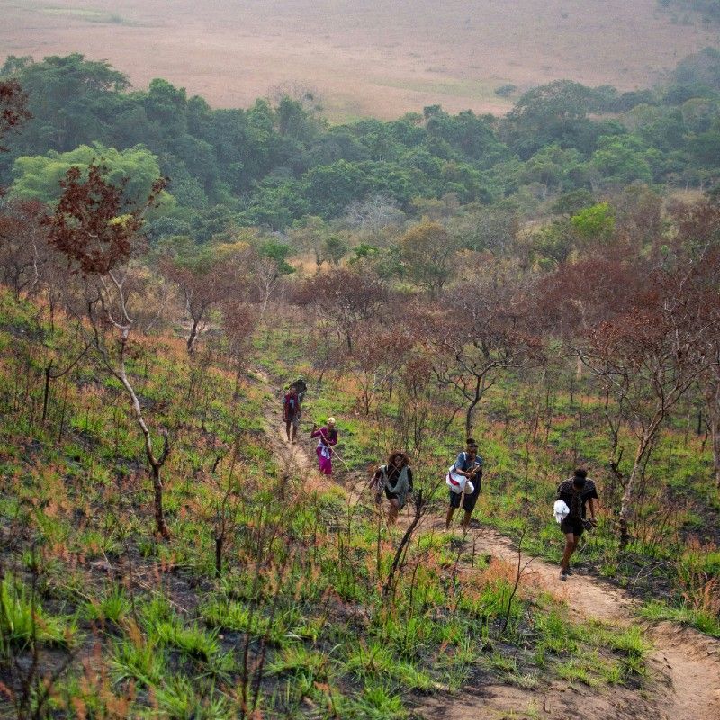 A group of hikers makes its way up the gentle slopes of Bombo Lumene Natural Reserve in the Congo DRC, surrounded by open savannah, woodland, and distant hills. Just a few hours from Kinshasa, this reserve offers scenic trails, birdlife, and a peaceful alternative to the dense equatorial forest. It’s a destination for those seeking nature, space, and quiet exploration. Inspiration Africa organizes tailor-made travel to the Congo DRC, including guided hikes and nature experiences in Bombo Lumene. Travel with us to discover the landscapes and natural rhythms of one of Central Africa’s most accessible and rewarding reserves.
