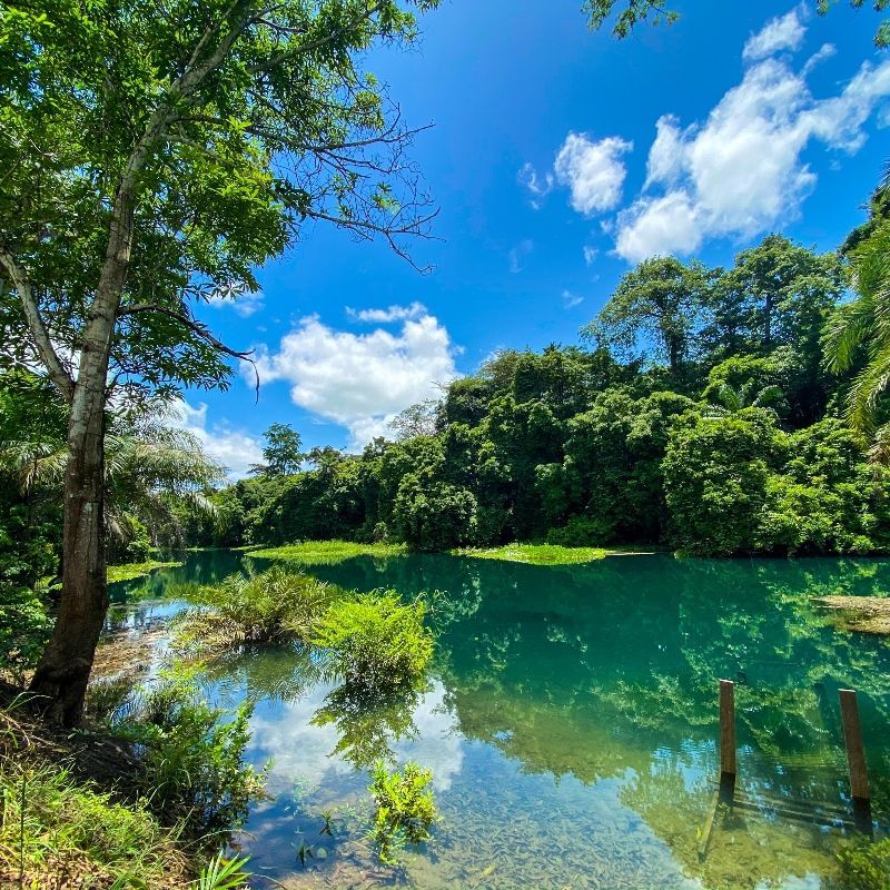 A ribbon of blue river winds through the dense equatorial forest of the Republic of Congo, its surface shining under filtered sunlight. This untouched landscape, rich in biodiversity and layered with life, is the backdrop to journeys few travelers ever take. Inspiration Africa organizes tailor-made travel to the Republic of Congo, offering access to remote rainforest regions, river expeditions, and wildlife experiences deep in the Congo Basin. Explore a destination where nature shapes every moment and discover the rhythms of the forest from riverbanks to canopy. Travel with us to uncover one of Africa’s most hidden and rewarding frontiers.
