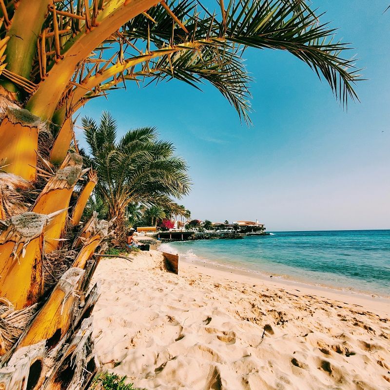 This inviting image captures the white sandy beaches of the Cape Verde Islands, where the blue sea meets palm-fringed shores in a scene of pure coastal beauty. Known for their relaxed vibe and natural charm, Cape Verde’s best beaches—like those on Sal, Boa Vista, and Santiago—offer clear waters, soft sands, and year-round sunshine. Whether you're looking to unwind, explore, or enjoy water activities, these islands provide the perfect backdrop. Inspiration Africa organizes tailor-made travel to Cape Verde, including beach escapes, cultural encounters, and island-hopping adventures. Discover Cape Verde’s coastal treasures with journeys designed just for you.