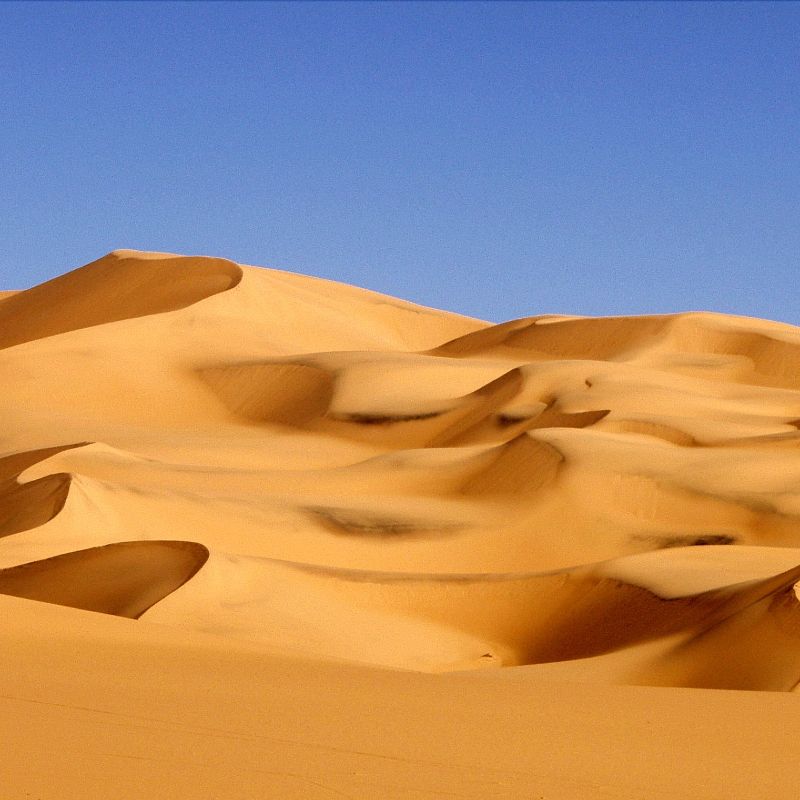 In southern Algeria, the Sahara stretches in endless waves of golden sand under a vast blue sky, creating a breathtaking landscape of silence and space. This image captures the pure beauty of the dunes, where horizons seem infinite. The most renowned areas for experiencing Algeria’s Sahara include the stunning Tassili n'Ajjer, the dramatic dunes of the Grand Erg Occidental and Grand Erg Oriental, and the timeless desert around Tamanrasset. Inspiration Africa crafts tailor-made journeys into these remote regions, offering travelers the chance to immerse themselves in the raw beauty and ancient spirit of Algeria’s desert landscapes.