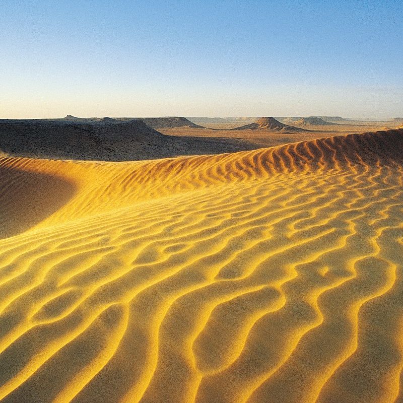 Experience the vast beauty of Algeria’s Sahara Desert with this striking image of sweeping sand dunes glowing beneath the sun. The photo captures the elegant curves, shifting textures and golden tones of the desert landscape, revealing the serene yet powerful character of one of the world’s most iconic wildernesses. From wind-sculpted ridges to endless horizons, the scene showcases the timeless majesty and quiet solitude that define the Algerian Sahara.
Inspiration Africa crafts tailor-made journeys to Algeria, offering travellers the chance to explore the Sahara’s dramatic dunes, discover desert culture and experience the captivating landscapes of North Africa’s greatest sand sea.
