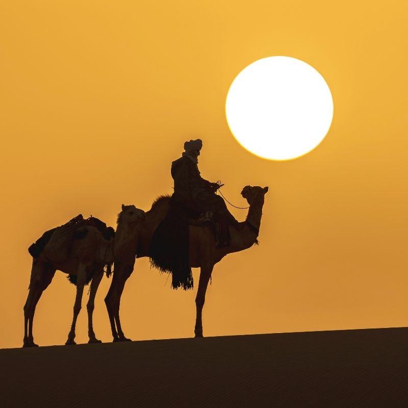 Experience the otherworldly landscapes of Algeria with this striking image of Tassili n’Ajjer. The photo captures its dramatic sandstone plateaus, eroded rock formations, and expansive desert plains, revealing a terrain that feels both ancient and surreal. Known for its prehistoric rock art and UNESCO World Heritage status, Tassili n’Ajjer combines geological wonder with deep cultural significance, showcasing the extraordinary beauty and history of the Algerian Sahara.
Inspiration Africa crafts tailor-made journeys to Algeria, offering travellers the chance to explore Tassili n’Ajjer’s breathtaking landscapes, discover its remarkable rock art, and experience one of North Africa’s most iconic and unique desert destinations.
