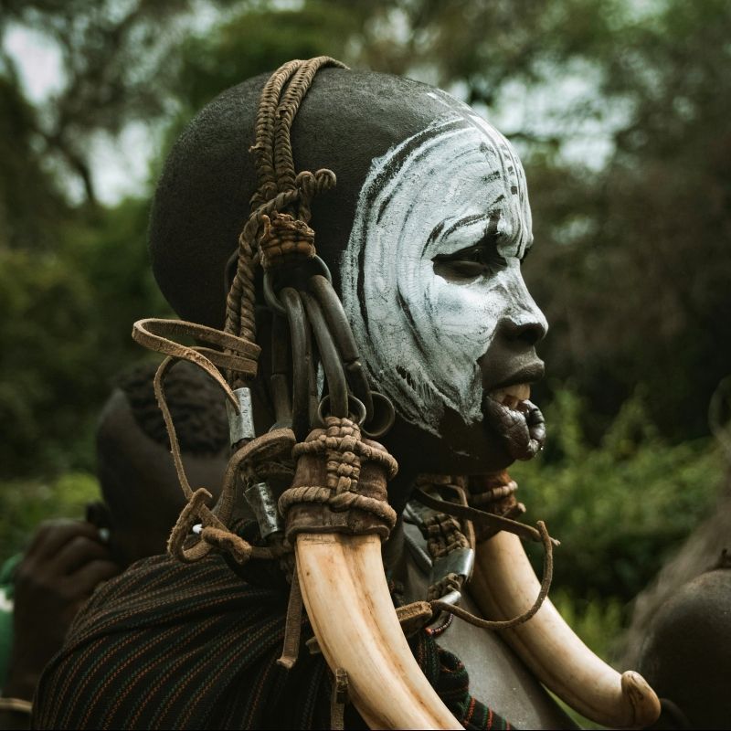 This striking profile photo features a man from the Mursi Tribe in Ethiopia, powerfully dressed in traditional attire. The image captures the unique dignity and distinct customs of the Mursi people from the Omo Valley. Inspiration Africa specializes in designing your unique, tailor-made trip to Ethiopia for respectful cultural immersion and exploring other incredible destinations across Africa. Discover the fascinating traditions of the Omo Valley with us!