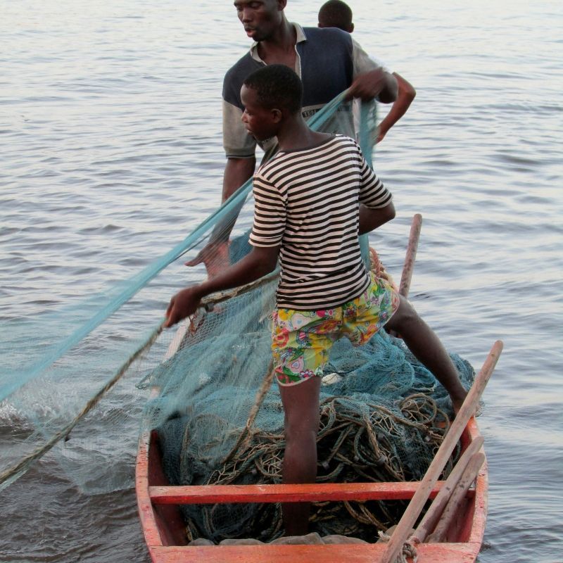 Fishermen pull their nets from calm waters in a traditional wooden boat—an everyday scene along Ghana’s vibrant coastline. This image captures the rhythm of life shaped by the sea, community, and tradition. At Inspiration Africa, we craft immersive journeys that bring you closer to moments like these. Whether exploring coastal villages, historic forts, or vibrant markets, our tailor-made Ghana itineraries connect you with the country’s living culture and natural beauty. Let us help you discover Ghana through authentic, thoughtfully designed travel experiences. Contact Inspiration Africa to start planning your journey to West Africa’s Atlantic shores.