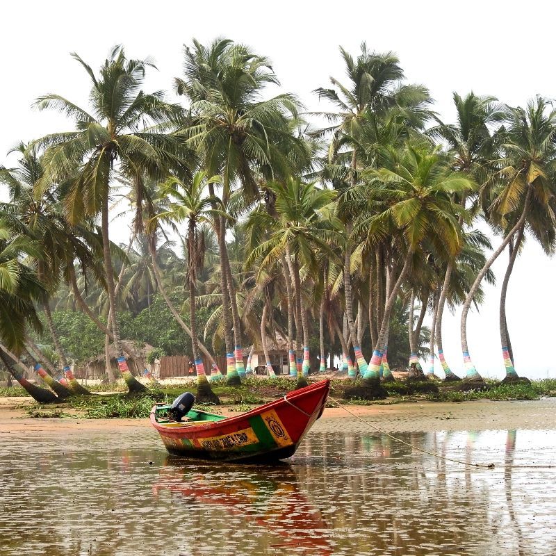A vividly painted fishing boat rests on the sand at low tide, backed by palm trees and beach huts—each touched with color that captures the spirit of Ghana’s coast. This vibrant scene reflects everyday life along the shoreline, where tradition and creativity meet. Inspiration Africa organizes tailor-made travel to Ghana, offering immersive experiences that connect you with the country’s rich coastal culture. From colorful fishing villages to scenic beaches and local encounters, we help you explore Ghana beyond the guidebooks. Let us take you there—where every tide reveals more than just the sea.