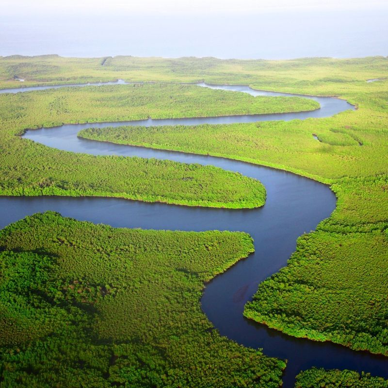 This beautiful image showcases the Gambia River meandering through dense, lush green forest, a thriving ecosystem teeming with birdlife and wildlife. The river’s winding path creates a rich natural corridor, attracting hundreds of bird species, including kingfishers, herons, bee-eaters, and African fish eagles. This vibrant landscape is one of the highlights of exploring The Gambia, especially for nature lovers and birding enthusiasts. Inspiration Africa organizes tailor-made journeys along the Gambia River, including guided birdwatching, boat safaris, and forest walks. Discover the wild, green heart of The Gambia with expertly crafted travel experiences from Inspiration Africa.
