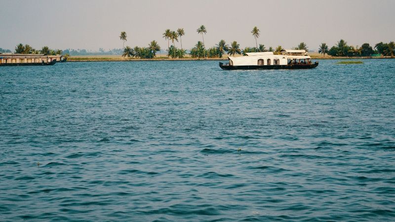 This scenic image features a peaceful river cruise along the lush Gambian waterways, surrounded by dense greenery and rich wildlife. The Gambia’s rivers and creeks are home to hippos, crocodiles, monkeys, and a wide variety of bird species. A river safari offers a unique way to explore the country’s natural beauty and local life. Inspiration Africa organizes tailor-made journeys that include guided cruises on the Gambia River and its tributaries, providing close-up views of wildlife in their natural habitat. Discover The Gambia from the water with immersive, eco-focused experiences crafted by Inspiration Africa.