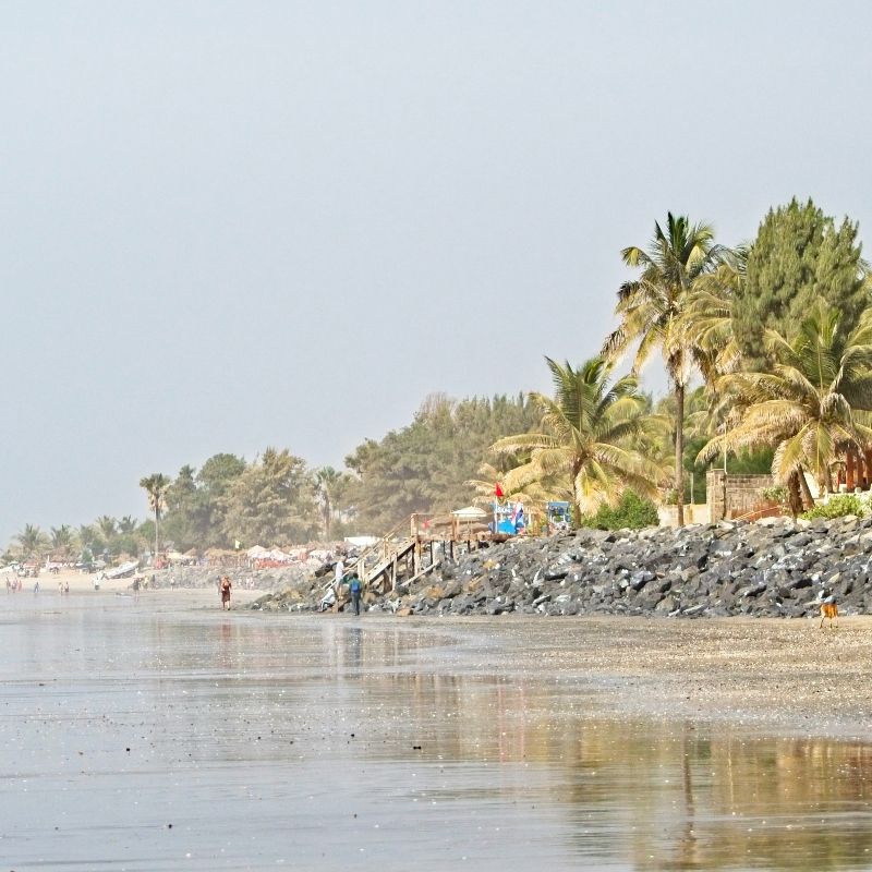 Where the Gambia River kisses the Atlantic, palm-lined beaches stretch for hours, blending river, ocean, and shoreline in one breathtaking view. In some places, houses are built so close to the waterline they seem to float between land and sea. This dynamic edge of The Gambia offers a unique glimpse into daily life shaped by nature. Inspiration Africa creates tailor-made journeys to explore this stunning coastline—whether you're strolling quiet beaches, watching fishermen return, or experiencing riverside village life. Discover the beauty where river meets ocean with carefully crafted travel experiences from Inspiration Africa.