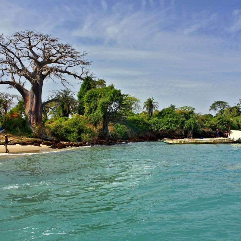 Three women walk down a sunlit street in Cape Verde, balancing baskets on their heads and wearing vibrant traditional dresses—a daily scene full of rhythm, resilience, and island charm. Cape Verde’s culture blends African, Portuguese, and Creole influences, best experienced through its people, markets, and music-filled neighborhoods. Inspiration Africa designs custom journeys to Cape Verde, connecting travelers with authentic local life across the islands. Whether exploring cobbled streets, coastal villages, or cultural traditions, we’ll take you beyond the expected. Travel with us to discover the true spirit of Cape Verde—alive in every step, smile, and color.