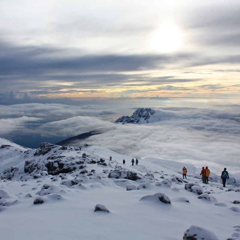 Hiking toward the snowy summit of Mount Kilimanjaro, one of Africa’s most iconic trekking adventures. From volcanic peaks and lush highland forests to dramatic mountain ranges, the continent offers extraordinary hiking and trekking opportunities for outdoor enthusiasts. Inspiration Africa specializes in bespoke, tailor-made journeys across Africa, crafting unforgettable trekking experiences in some of the continent’s most spectacular landscapes.
