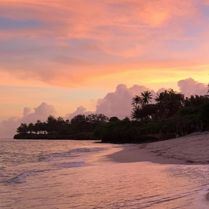 Experience the serene beauty of a Diani Beach sunset in Kenya. This soft, breathtaking scene captures the horizon ablaze with tranquil pink and orange hues, reflected on the gently lapping waves. The silhouette of distant palm trees and lush coastal vegetation frames the perfect end to a day on the Indian Ocean. Inspiration Africa specializes in crafting personalized, tailor-made trips to Kenya's stunning coast—including Diani—and other incredible destinations across Africa. Let us design your dream beach holiday today!