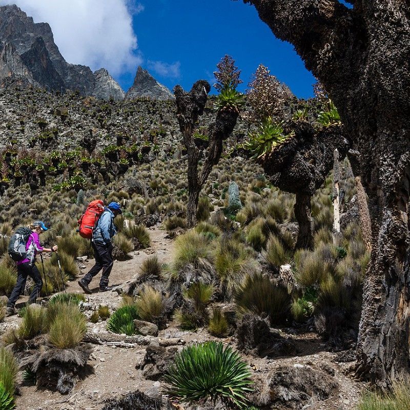 Challenge yourself with a trek up Mount Kenya, Africa's second-highest peak or Mount Egon or Mount Meru. Kenya offers many option for excellent hikes or treks.