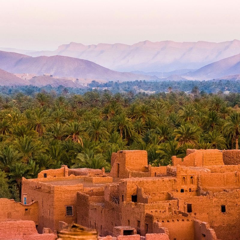 This stunning image captures a traditional town in Morocco, with mud-brick houses nestled beside a lush desert oasis filled with palm and date trees, set against the backdrop of a distant mountain range. These striking landscapes are found in regions like the Draa Valley, Skoura, or near Erfoud, where life has flourished for centuries at the edge of the Sahara. Inspiration Africa organizes tailor-made journeys to Morocco, including visits to desert towns, oases, and mountain villages. Discover the harmony of architecture, nature, and culture in Morocco’s desert heart with expertly crafted travel experiences from Inspiration Africa.