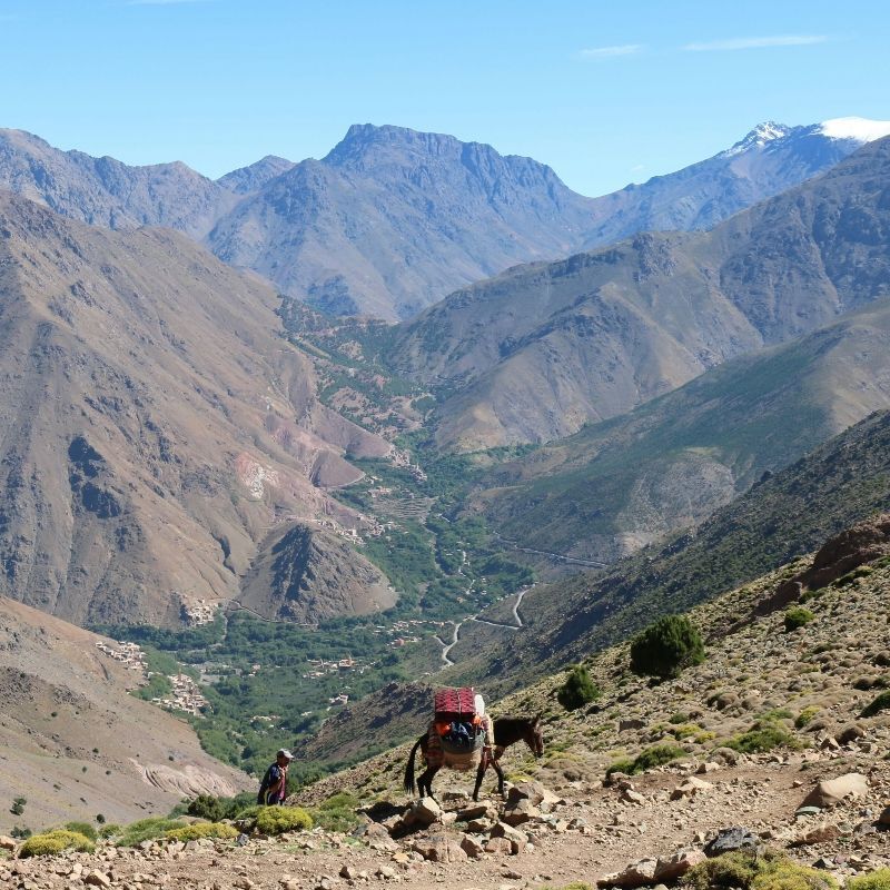 Hiking in the Atlas Mountains offers scenic trails, traditional Berber villages, and diverse landscapes for adventurous trekkers.