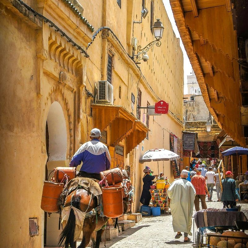 Morocco offers a diverse tapestry of Arab, Berber, and European influences, showcased in its architecture, cuisine, and everyday life, creating vibrant opportunities for immersive cultural exploration.
