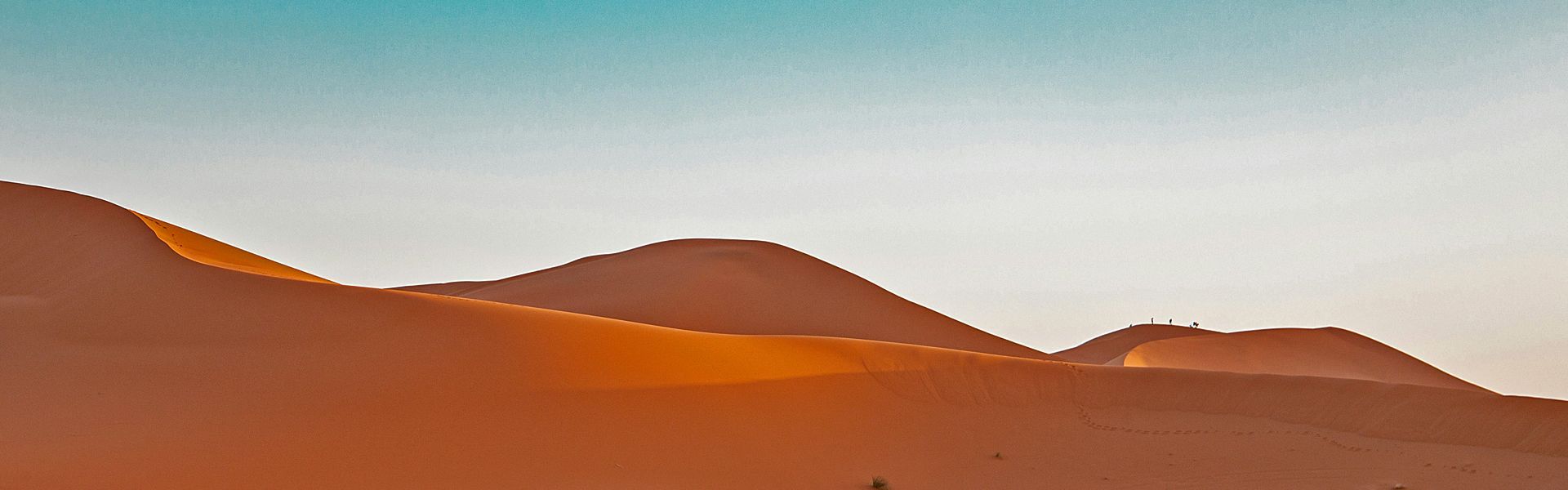 Experience the golden beauty of Morocco’s Sahara with this striking image of the sand dunes in Merzouga. The photo captures the sweeping curves, warm amber tones, and shifting shadows that define this iconic desert landscape. As the light moves across the dunes, the scene transforms into a breathtaking display of texture and colour, highlighting both the serenity and dramatic scale of the Moroccan Sahara.

Inspiration Africa crafts tailor-made journeys to Morocco, offering travellers the chance to explore Merzouga’s vast dunes, experience traditional desert culture, and immerse themselves in the timeless magic of one of North Africa’s most captivating landscapes.

