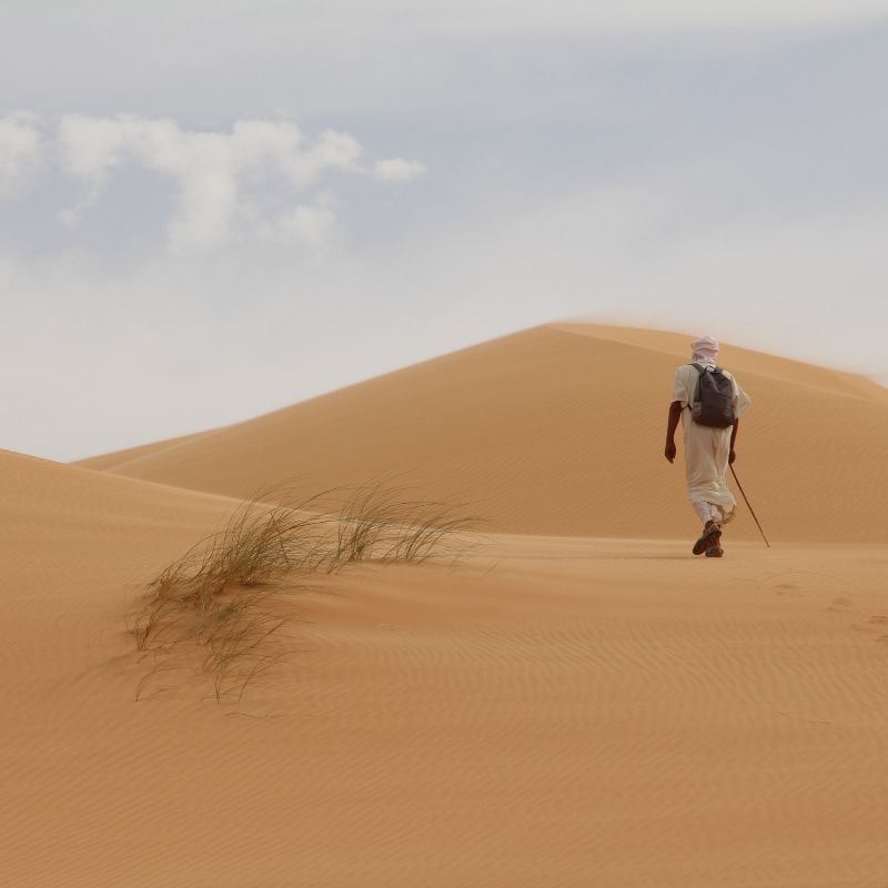 Trek among the dunes of the Adrar Plateau. Hike through some of Mauritania’s most striking landscapes, from towering sand dunes to dramatic rock formations and hidden desert oases.