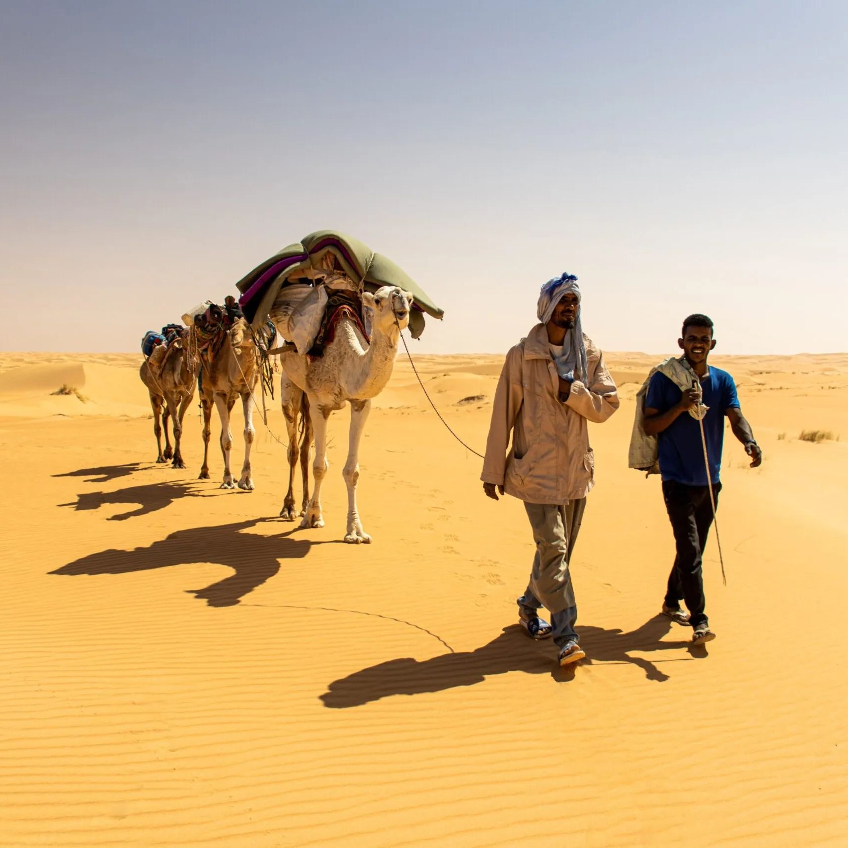 Experience the vast and timeless beauty of the Sahara Desert in Mauritania with this stunning photo. Endless golden sand dunes stretch as far as the eye can see, their graceful curves and shadows shifting gently under the sun. The remote, unspoiled landscape evokes a sense of solitude, adventure, and the raw power of nature in one of the world’s most iconic deserts. Inspiration Africa specializes in tailor-made journeys that bring you closer to Africa’s extraordinary natural landscapes. Let us design your personalized adventure to explore the sweeping dunes, dramatic horizons, and unforgettable serenity of the Mauritanian Sahara.
