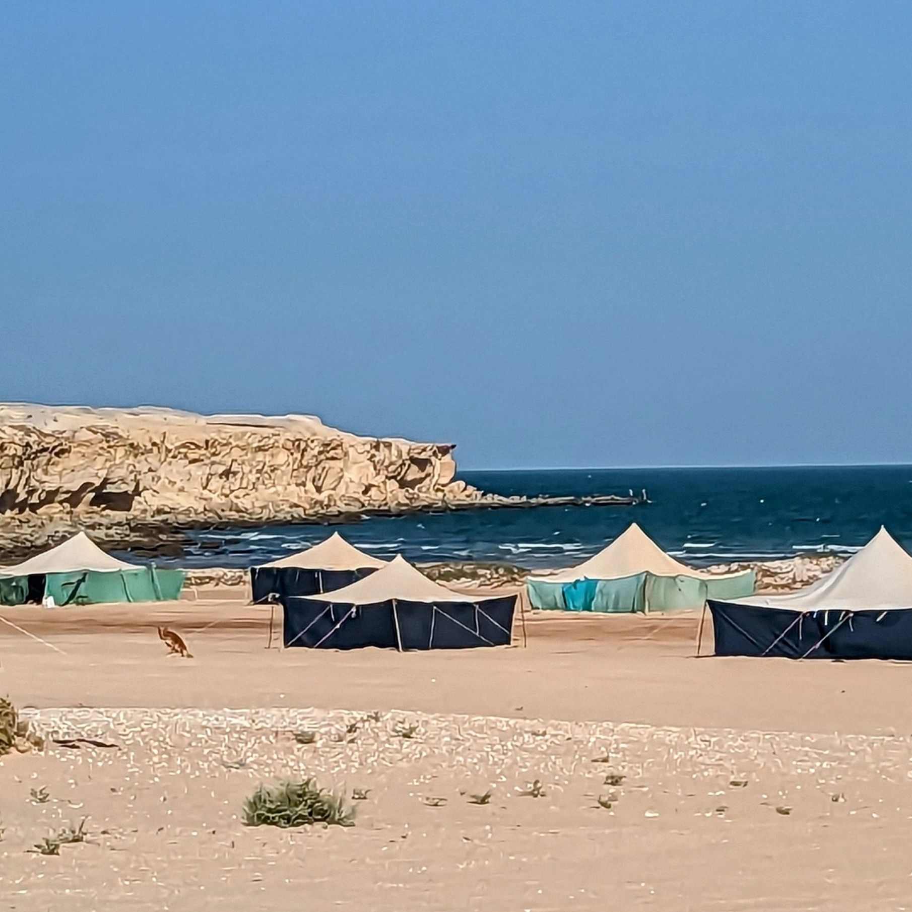 Camp under the stars in the Sahara.
Spend a night in a traditional Bedouin camp, immersed in the profound silence, endless stars, and timeless rhythm of desert life in Mauritania´s Adrar Plateau or along the coast near Banc d’Arguin National Park.
