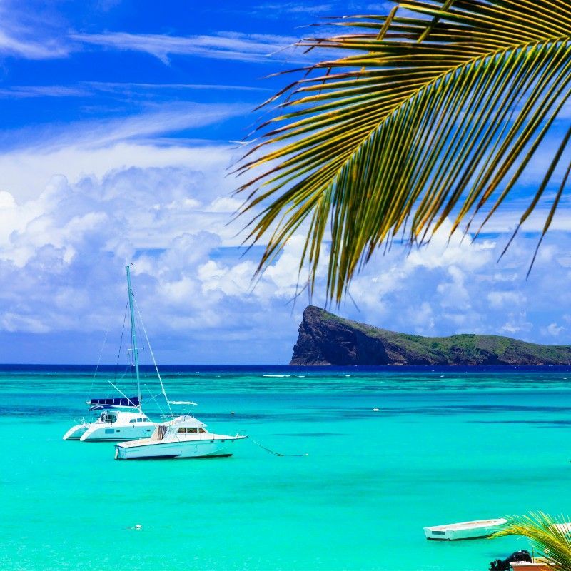 Sail across turquoise waters to a picturesque island, enjoying beach time and water activities.