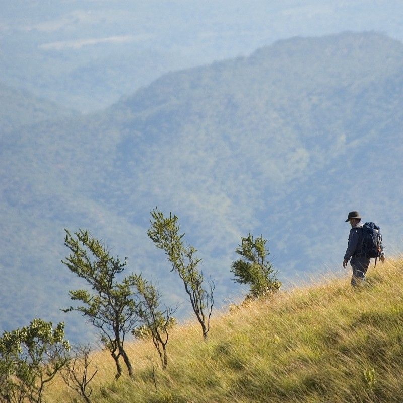 Capture the beauty of Liwonde National Park in Malawi, where you can witness the heartwarming sight of a waterbuck mother and her baby in their natural habitat. This iconic African scene is just one of the many wildlife encounters you can experience in this stunning park. With Inspiration Africa, you can embark on a tailor-made safari, exploring Liwonde's diverse ecosystems, spotting wildlife, and immersing yourself in the tranquil beauty of Malawi. Whether it's game drives or boat safaris, Inspiration Africa ensures a memorable journey in one of Africa’s premier wildlife destinations.