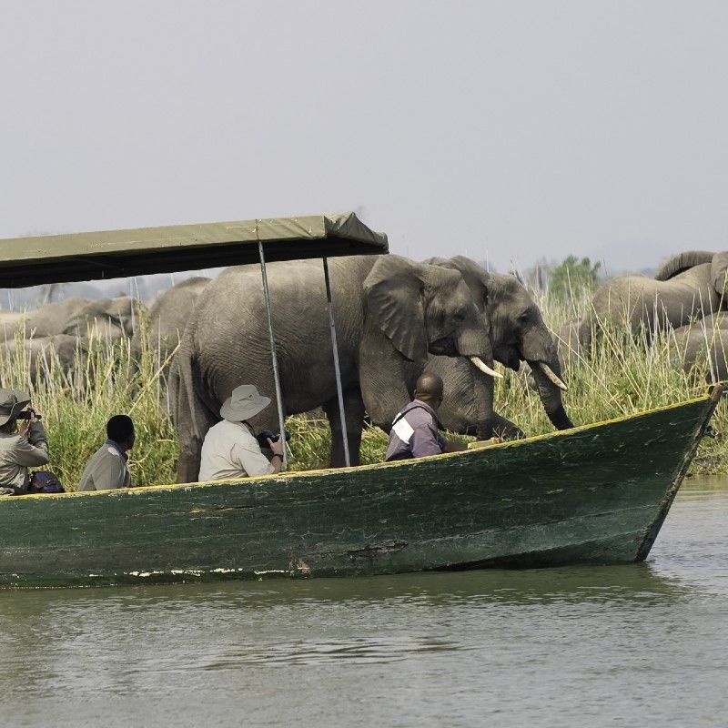 Take a boat safari along the Shire River in the Liwonde National Park, for a unique wildlife experience.