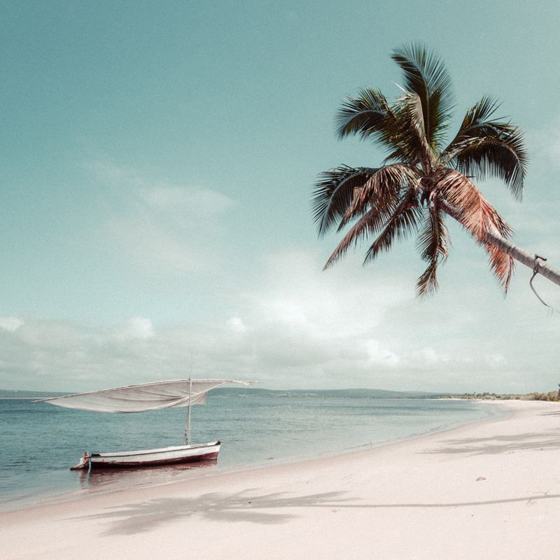 Mozambique’s remote beaches, such as Vamizi, Quilalea, and Bazaruto Islands, offer pristine white sands, turquoise waters, and untouched marine life, ideal for diving, snorkeling, and secluded tropical escapes along the Indian Ocean.