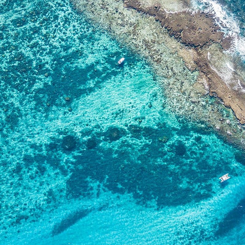 Take in the breathtaking aerial view of a vibrant coral reef in Mozambique’s Bazaruto Archipelago, where turquoise waters reveal intricate reef patterns and rich marine life below. This stunning scene captures the pristine beauty and ecological richness of one of Africa’s most spectacular island destinations. Let Inspiration Africa design your bespoke, tailor-made journey to explore the Bazaruto Archipelago’s world-class snorkeling, diving, and coastal adventures. Start planning your unforgettable Mozambican escape with us today!