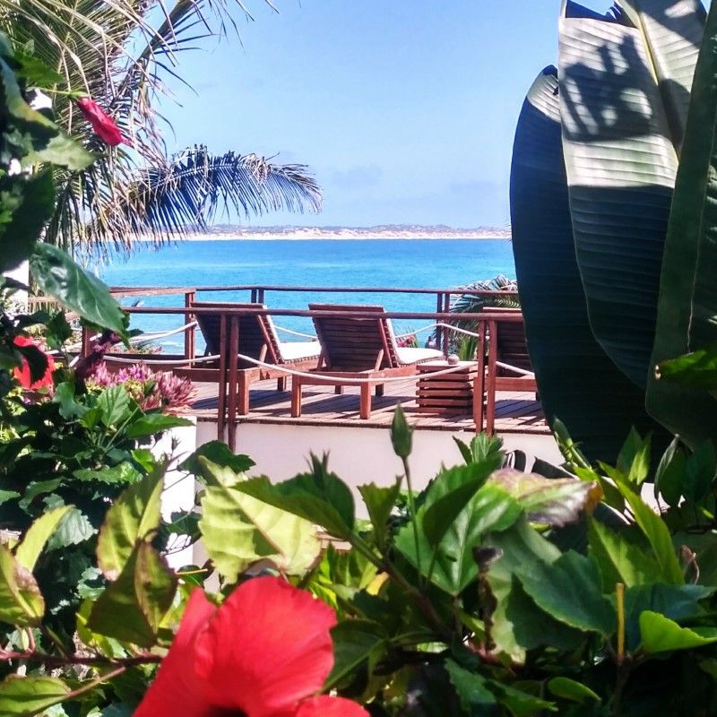 The veranda at Baía Sonambula in Praia do Tofo, Mozambique, is captured in this inviting travel photograph, showcasing a spacious deck with sweeping views of the turquoise Indian Ocean. Comfortable seating and natural wooden furnishings create a relaxed space to enjoy the coastal scenery, while lush tropical greenery frames the scene and adds a sense of privacy. Gentle waves lap against the shore below, and the horizon stretches endlessly, emphasizing the serenity and beauty of the location. The photograph conveys calm, connection to nature, and effortless coastal luxury, highlighting Baía Sonambula as an idyllic retreat where ocean vistas and tranquility define the experience. Inspiration Africa specializes in bespoke, tailor-made journeys to Mozambique and across Africa, crafting unforgettable travel experiences in extraordinary destinations.
