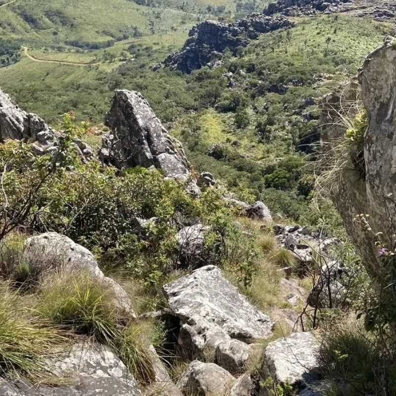 Hiking in Mozambique unveils diverse landscapes, from the rugged Chimanimani Mountains to lush valleys and waterfalls, offering trails rich in natural beauty and unique flora.