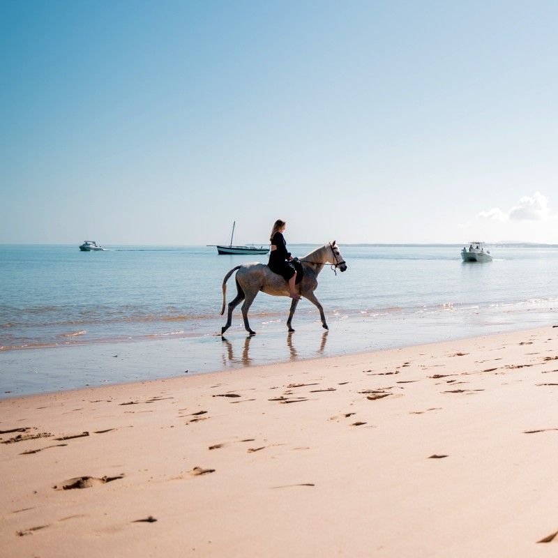 Gaze upon a moment of pure freedom as a traveler rides a horse along the pristine beaches of Mozambique’s Bazaruto Archipelago. This evocative photograph captures endless stretches of white sand, gentle waves of the turquoise Indian Ocean, and the tranquil rhythm of exploring the coastline on horseback. The scene reflects the untouched beauty and exclusivity of this island paradise, where nature and adventure blend seamlessly. Experiencing Bazaruto in this way offers a peaceful yet exhilarating connection to the ocean and landscape. Inspiration Africa specializes in crafting bespoke, tailor-made journeys that combine idyllic island escapes with extraordinary adventure experiences across Africa’s most remarkable destinations.
